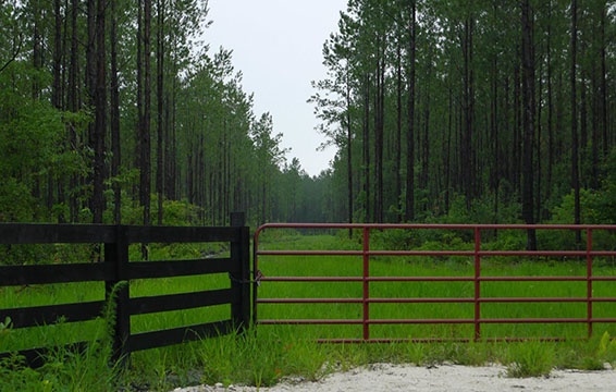 Land for sale in Bradford County, Florida