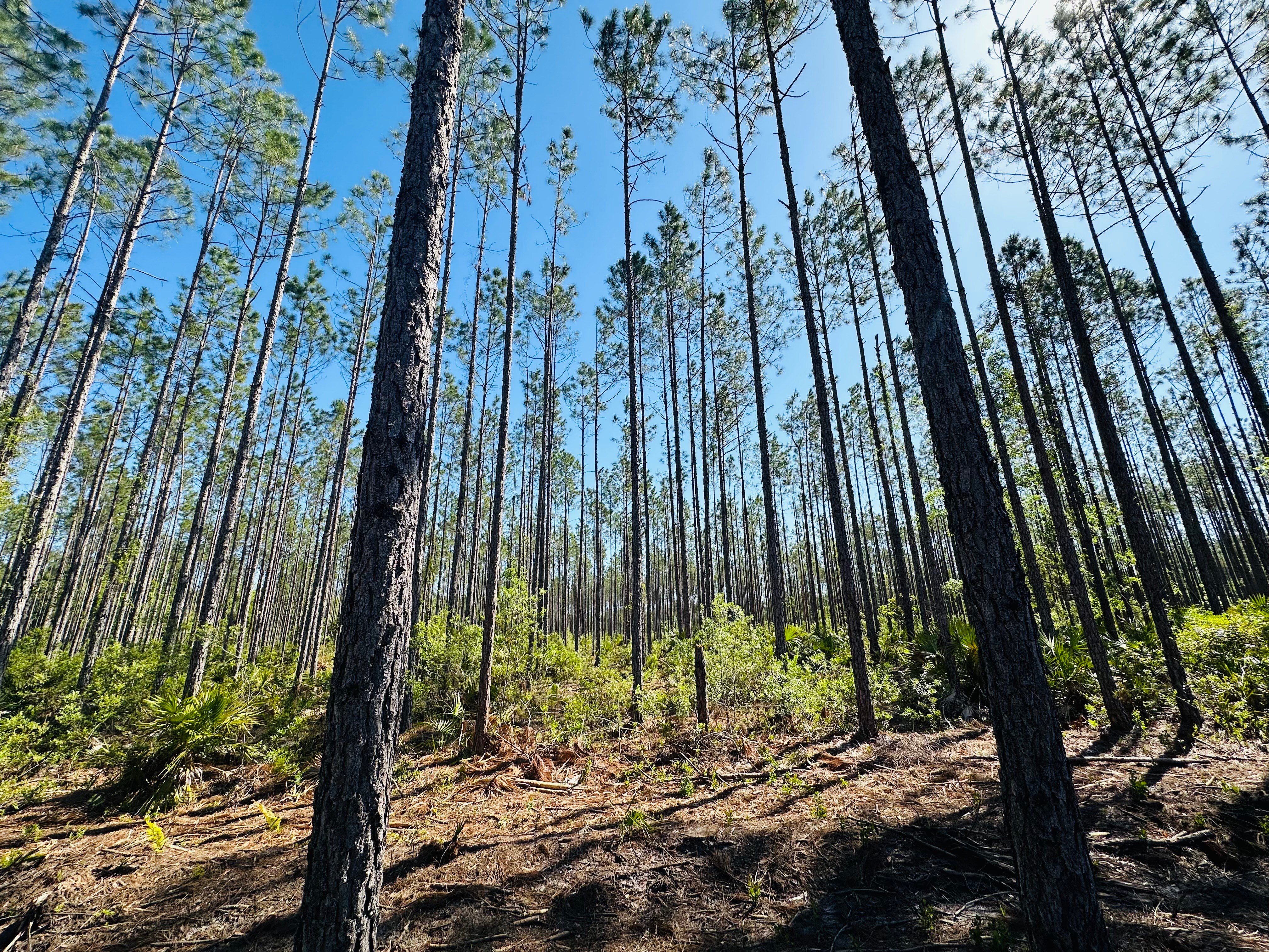 IMG_2656