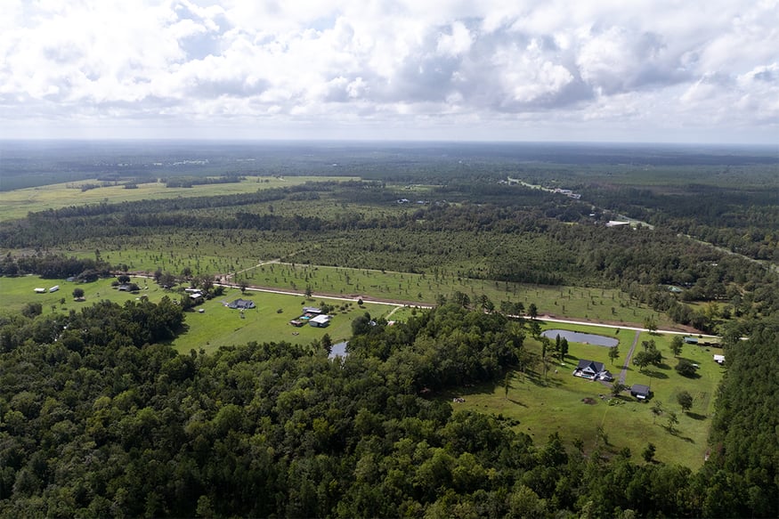 Davis_Farms_Sneek_Landing