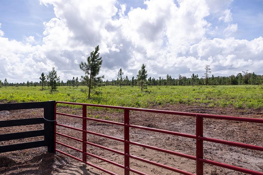 Davis_Farms_Sneek_Landing_2