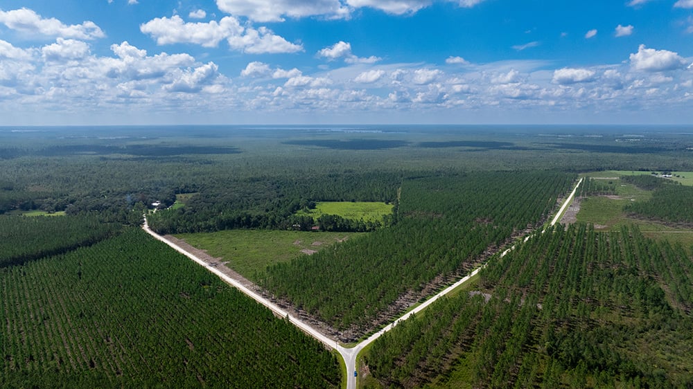 DJI_20250819201442_0065_D
