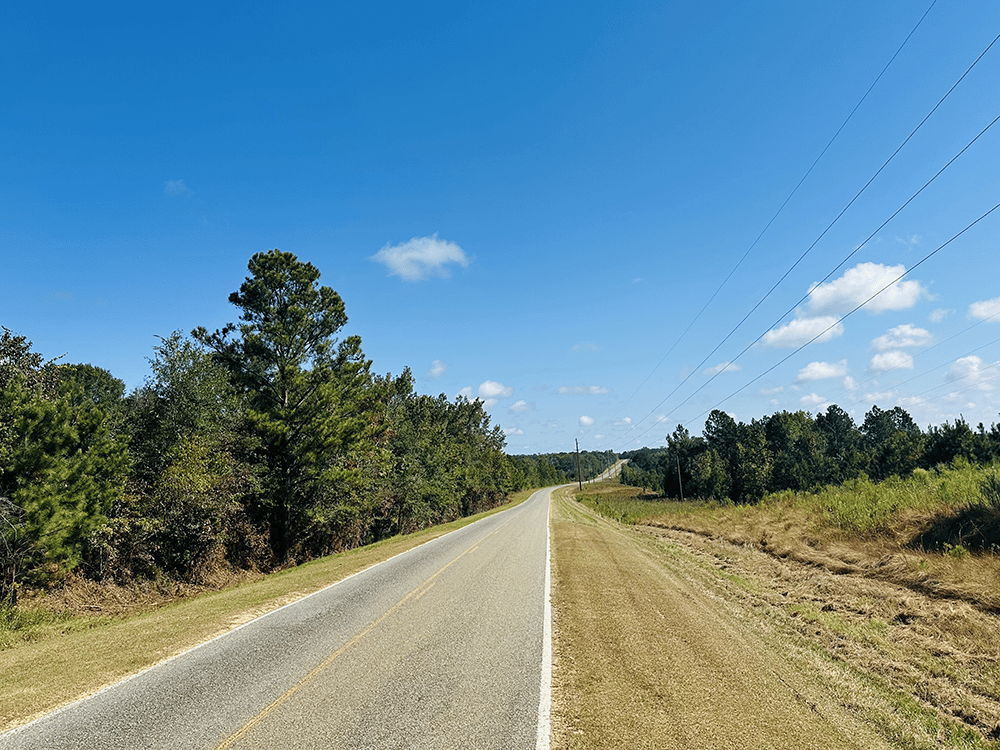 Little_Alligator_Creek_SP_1