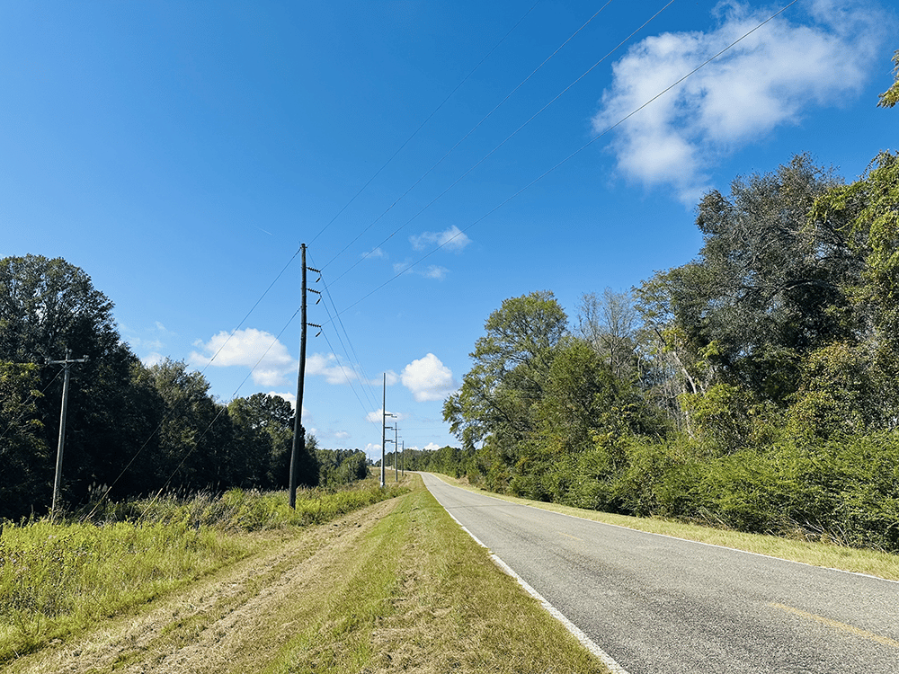 Little_Alligator_Creek_SP_2