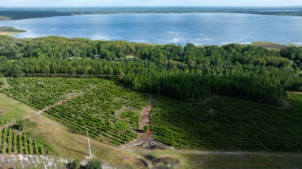Old_Cypress_Farms_SP2