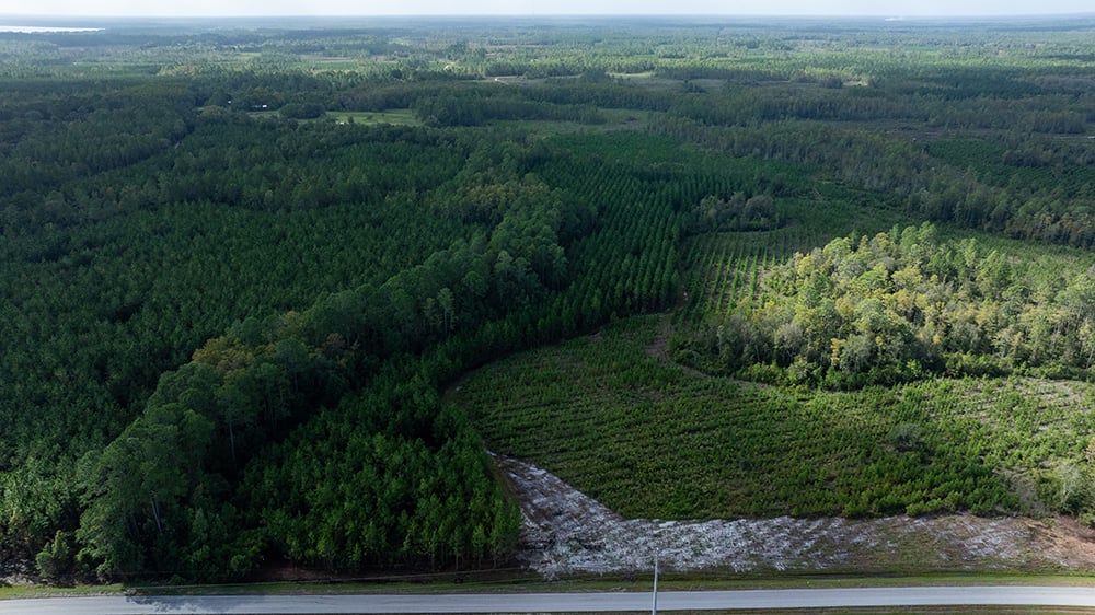 Old_Cypress_Farms_SP3