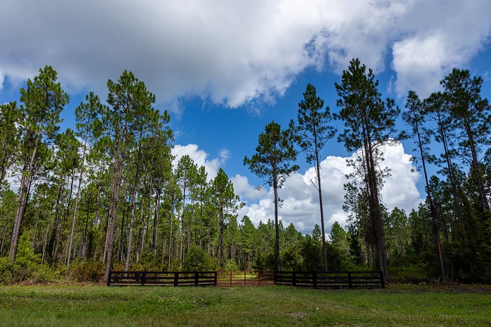 Old_Cypress_Farms_SP4